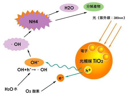 如何辨別劣質(zhì)光觸媒？
