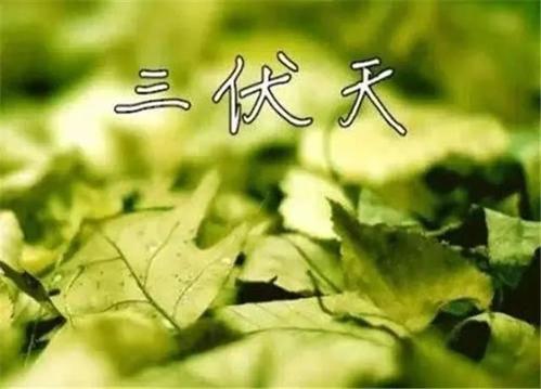 三伏天更要找杭州甲醛檢測(cè)公司上門采樣嗎？